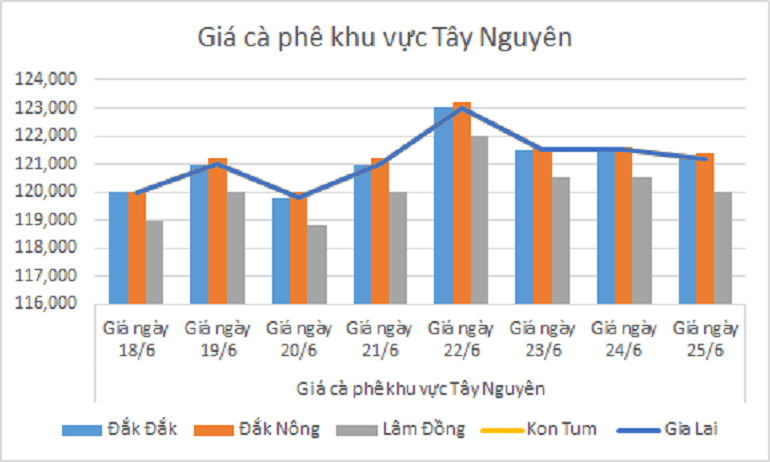 Bieu do gia ca phe ngay 25.6.2024_1719286847.png